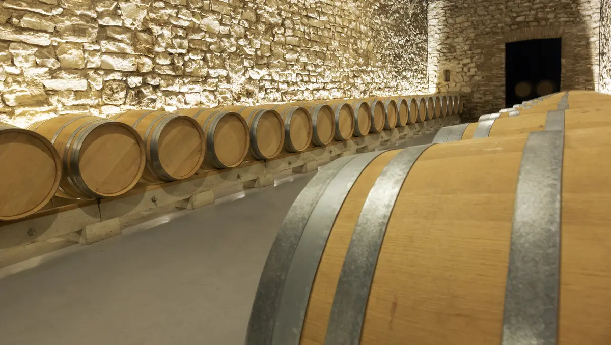 a stock of wooden wine barrels